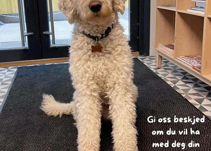 Kragerø Hotell Hotel *