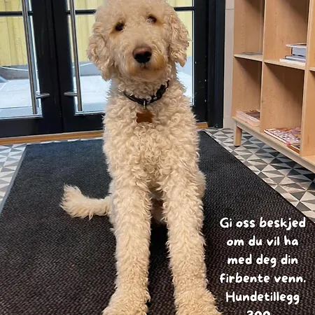 Kragero Hotell Hotel *